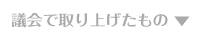 倉元たつお 議会で取り上げたもの