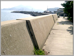 地震によってずれが生じた防波堤（西浦）。